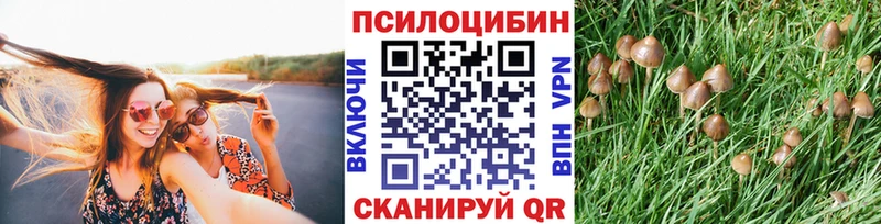 Псилоцибиновые грибы MAGIC MUSHROOMS  Купить закладки  Зеленоградск 